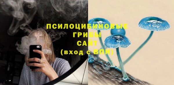 спиды Зеленокумск