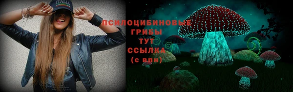 СК Иннополис