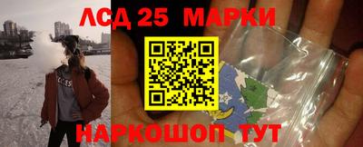 гидропоника Гатчина