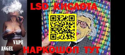 гидропоника Гатчина