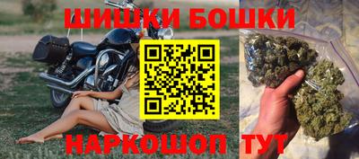 гидропоника Гатчина