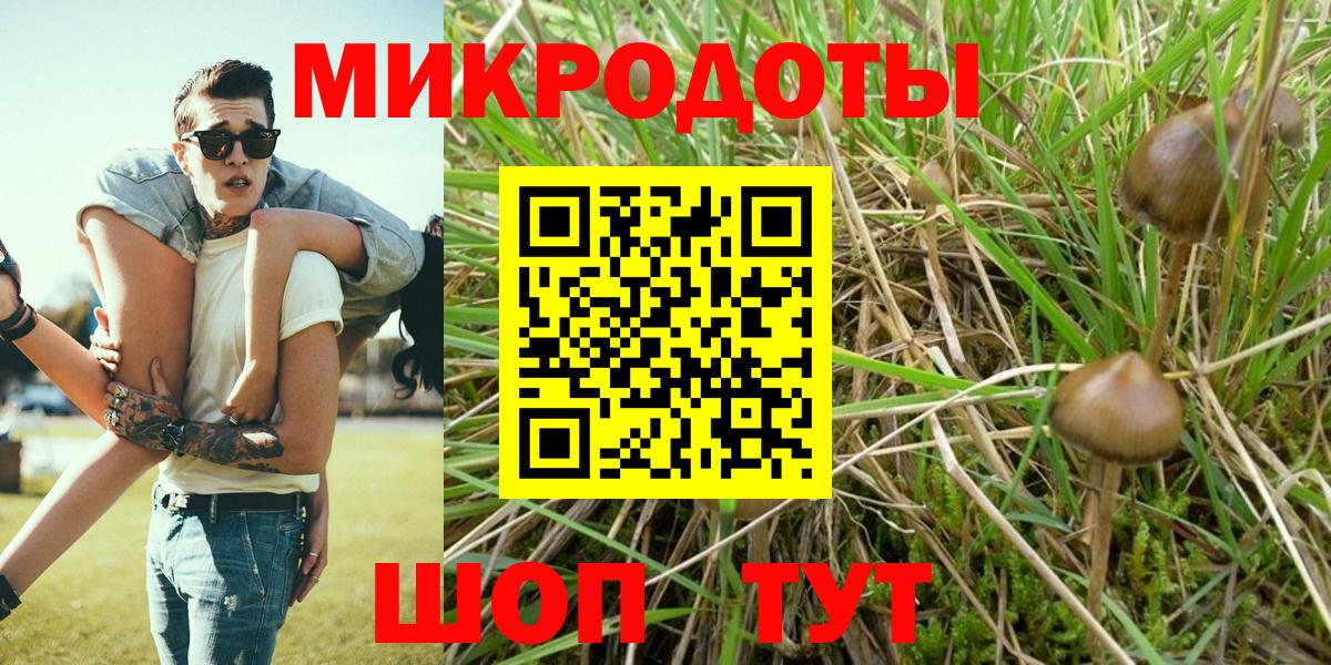 Галлюциногенные грибы мицелий Белгород