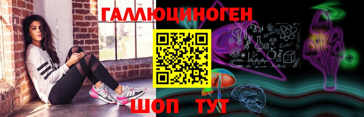 Галлюциногенные грибы мицелий  Белгород  Псилоцибиновые грибы Psilocybe 